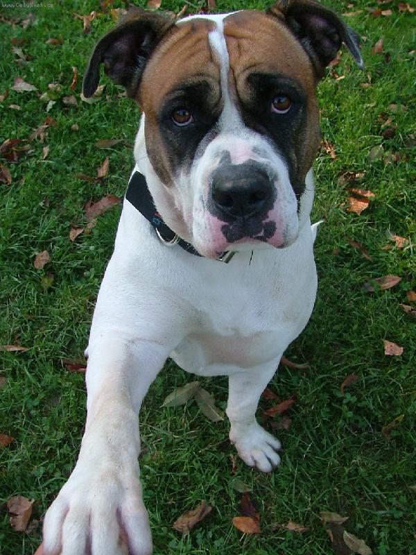 Foto: Roxy-Roxy