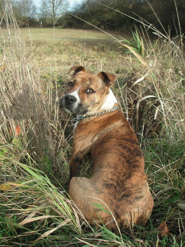 Foto: Brusy