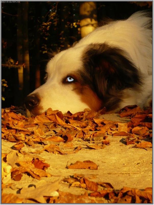Foto: podzimn�
