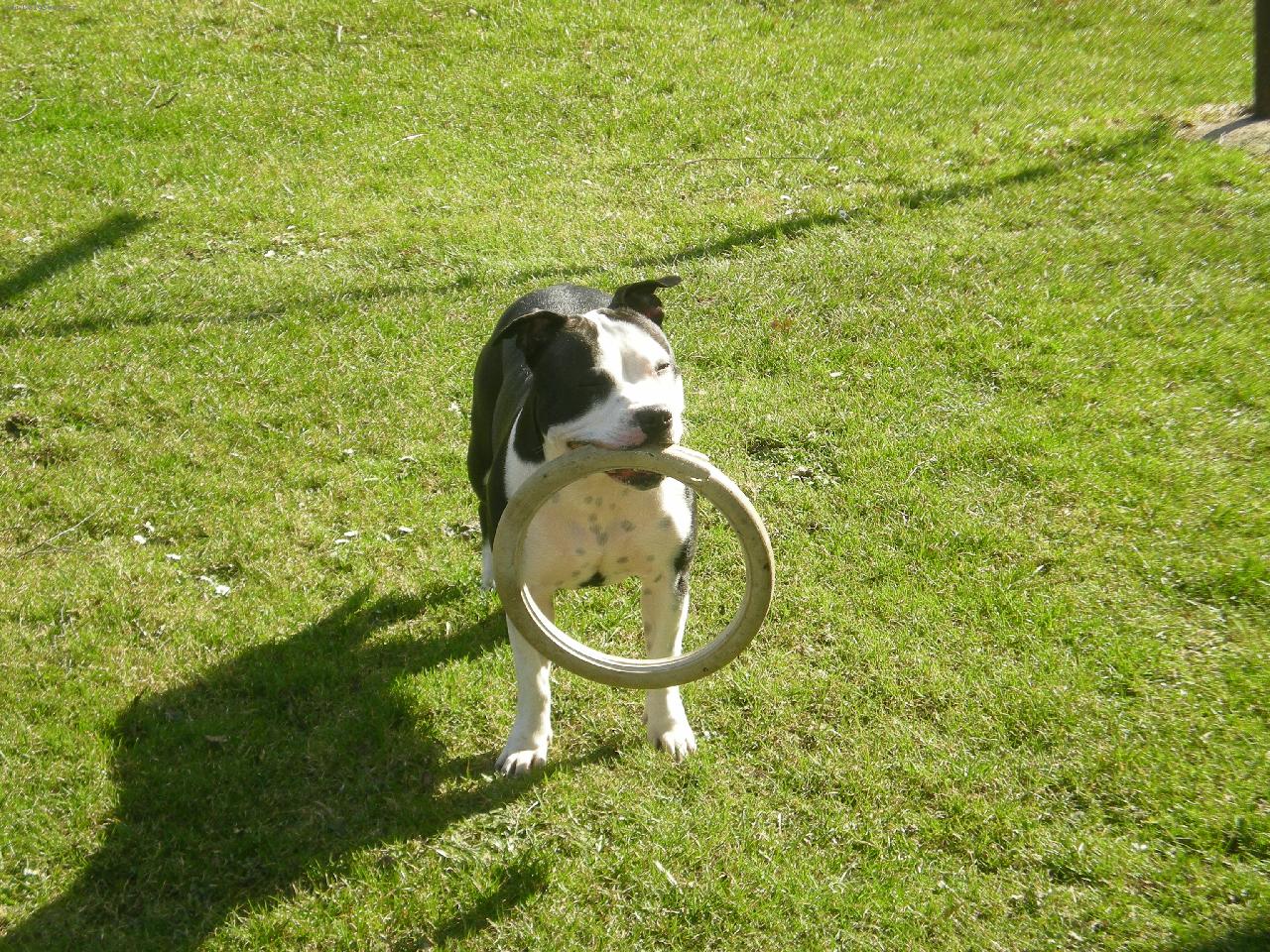 Foto: sendy
