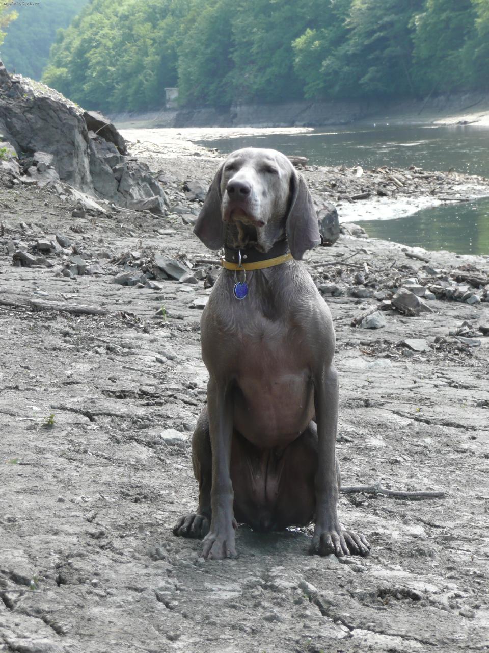 Foto: U vody