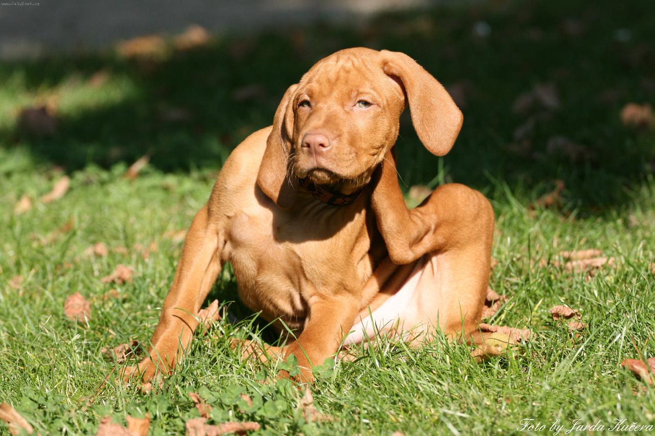 Foto: Spike