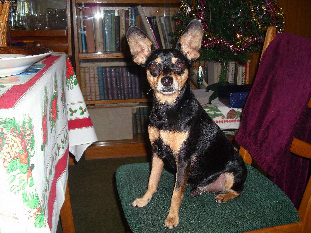 Foto: Rocky