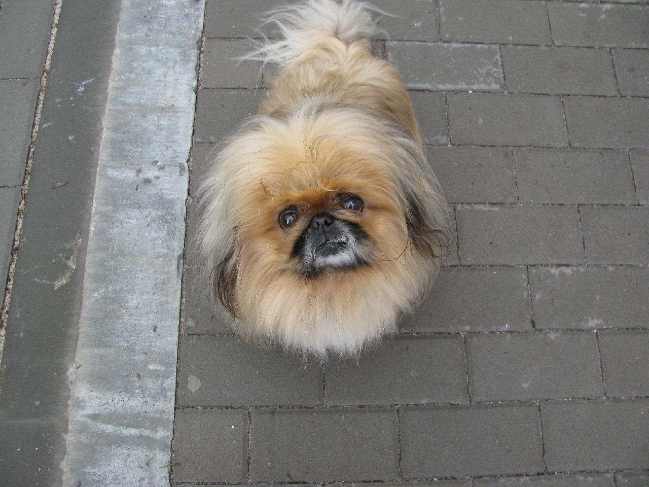 Foto: Miky