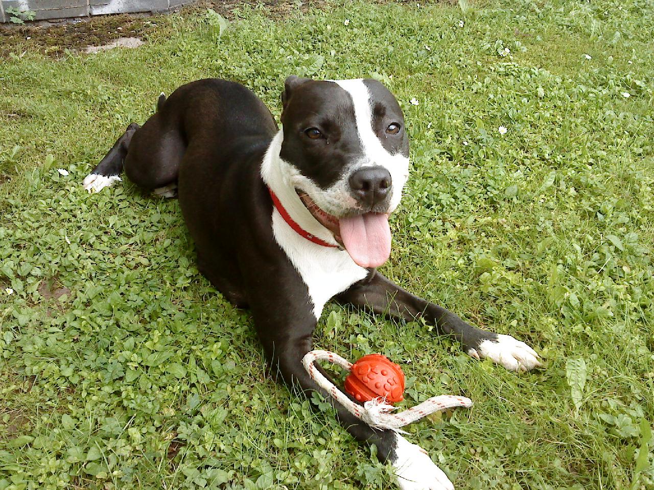 Foto: Sally