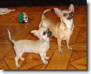 n�m taky ...
