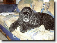  Roch�nek