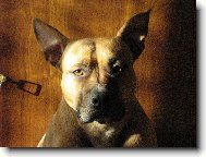 Na�e Betty