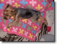 Poledn� siesta na chaloupce