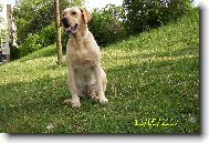 B�ra