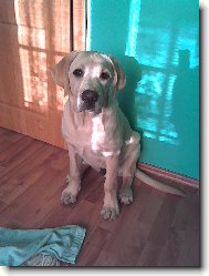 Max 7.m�s�c�
