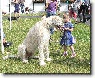 tenhle pejsek se Michalce l�b�