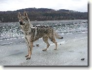 Annie z Hol�tejna