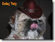 fr�ja Tedy