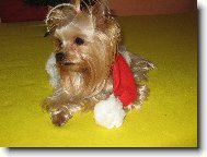 Beru�ka
