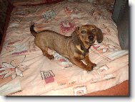 Zuzanka 4 m�s�ce