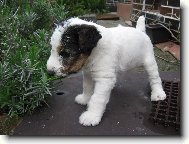 ...zase n�co nov�ho