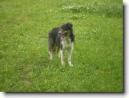 Artu�