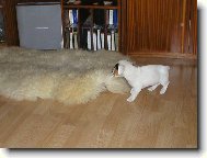 Milo trha�