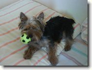 m�j mil��ekTerry