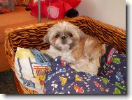Ma�ou�