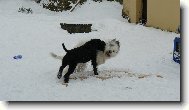 Brixa a Kar�a