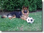 Dixinka je prost� fotbalistka �.1 :-)