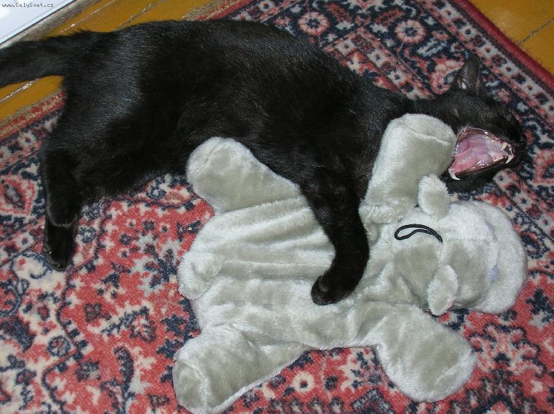Foto: Tom
