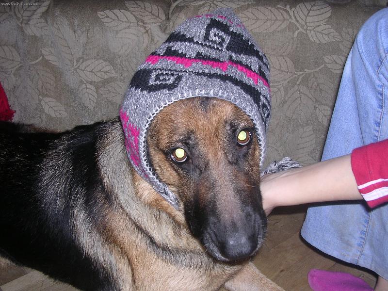 Foto: Bettyna