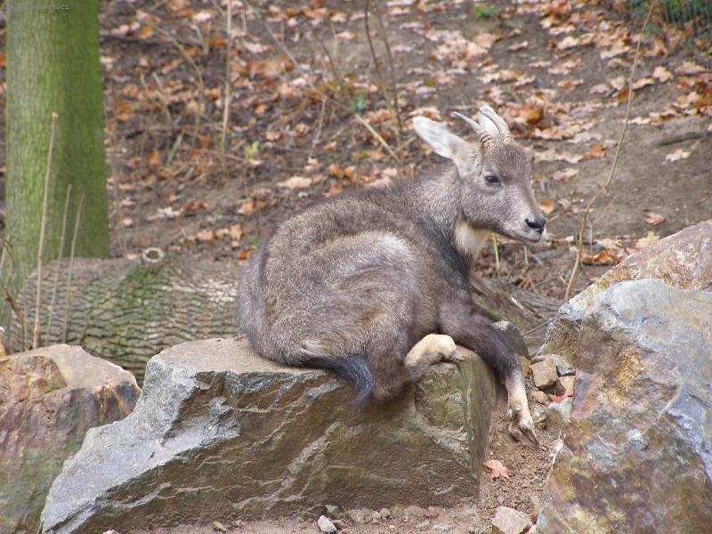 Foto: Krasavice