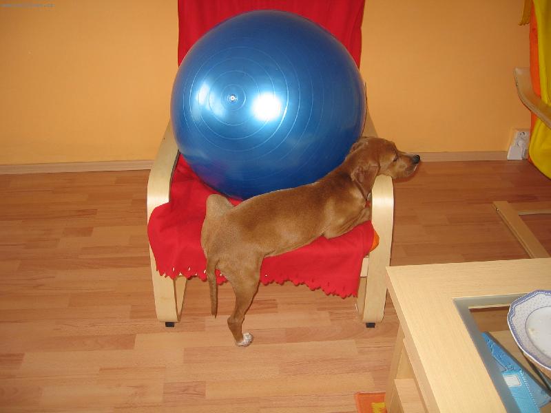 Foto: Rikkie