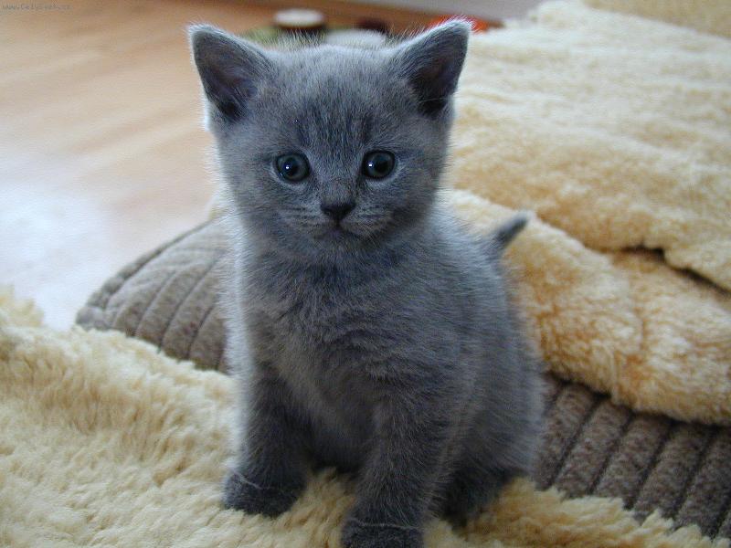 Foto: Co kouk�?