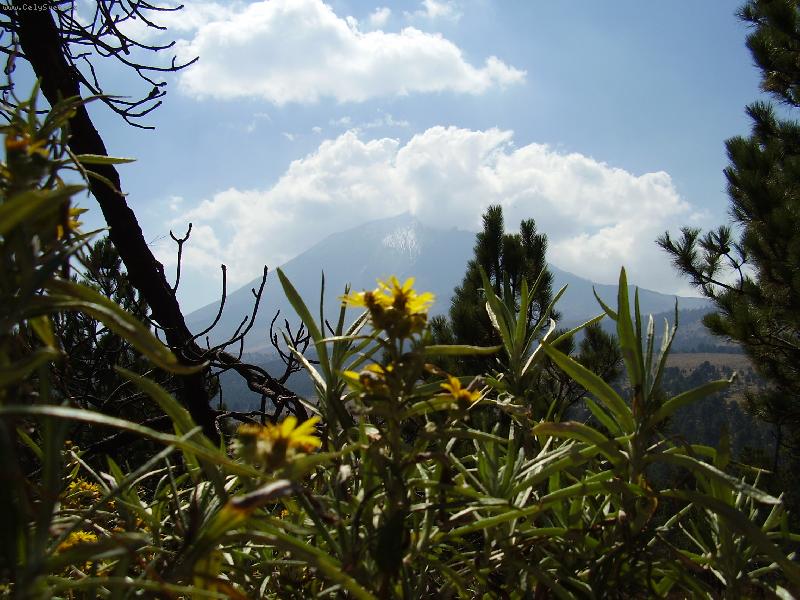 Foto: Popocatepetl