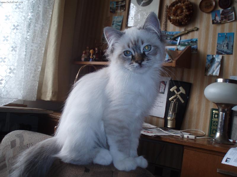 Foto: Ti amo