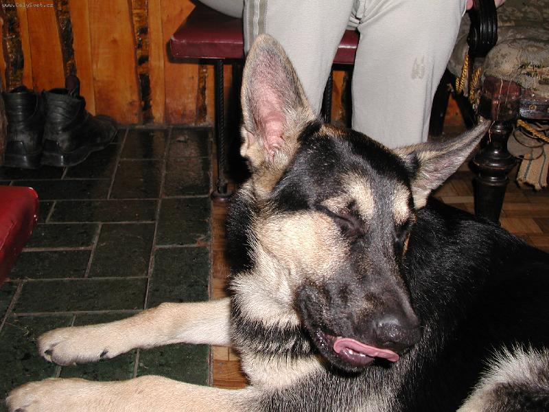 Foto: Caesar