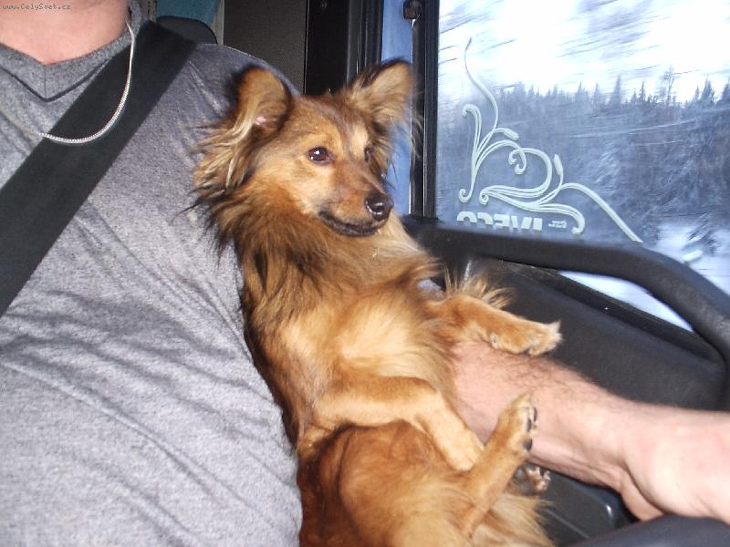 Foto: AUTO�KOLA