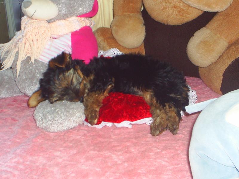 Foto: Max��ek