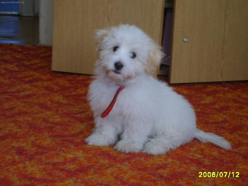 Foto: Lucky