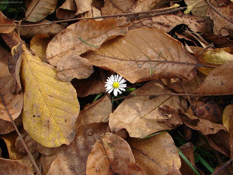 Foto: Posledn�...