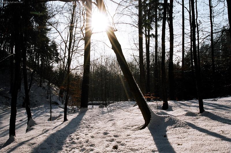 Foto: zima 2005