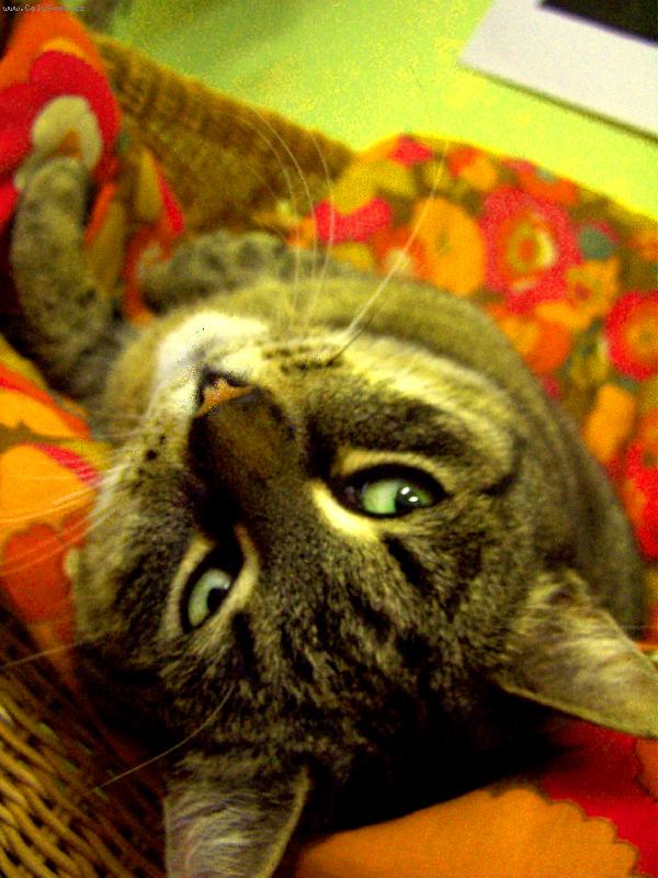 Foto: siesta-siesta