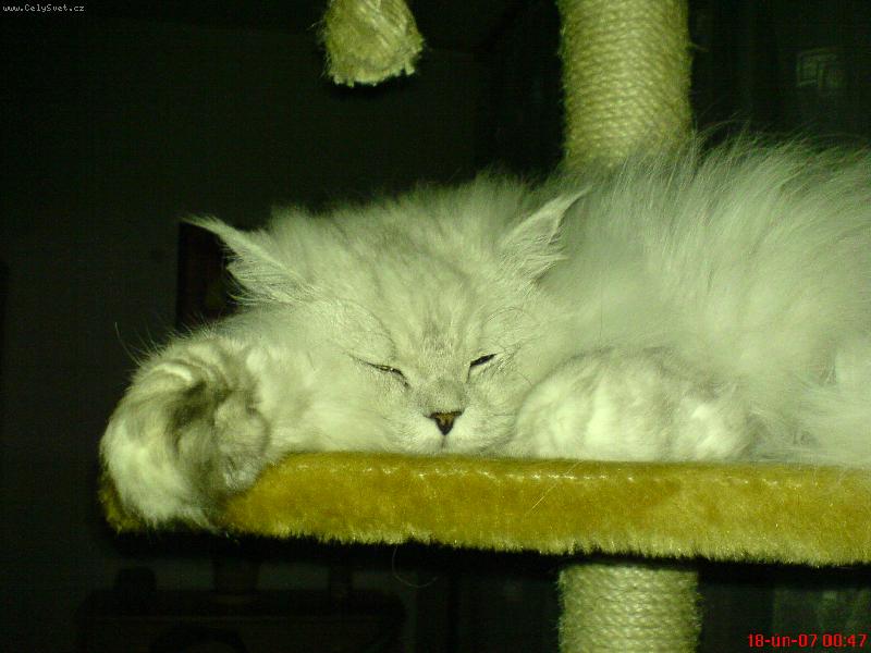 Foto: Sofinka
