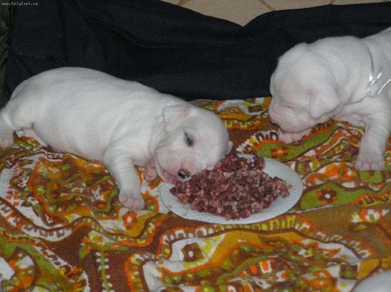 Foto: uz nem��u