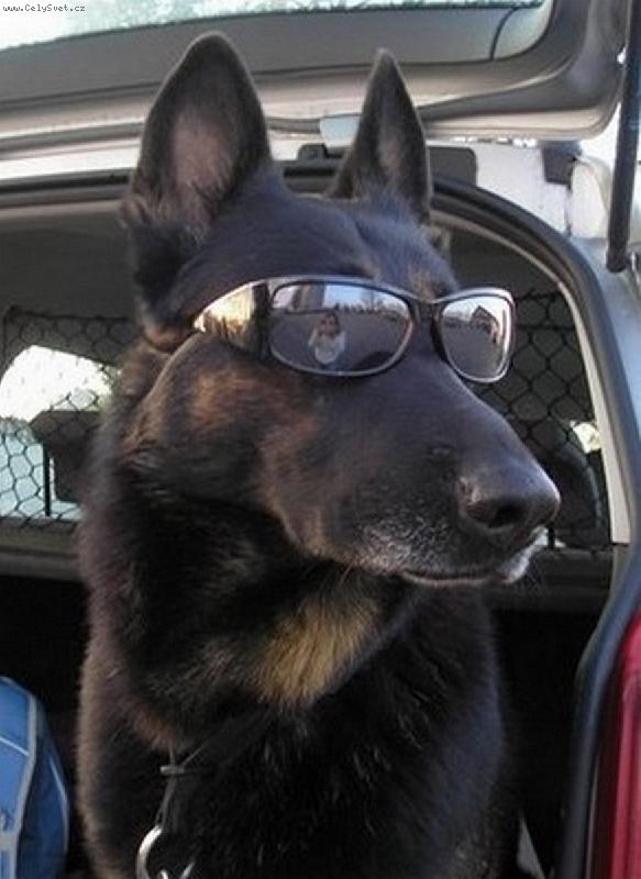 Foto: vidim vas!