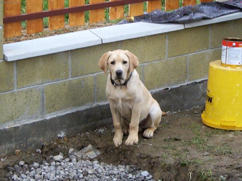 Foto: max-kukuk