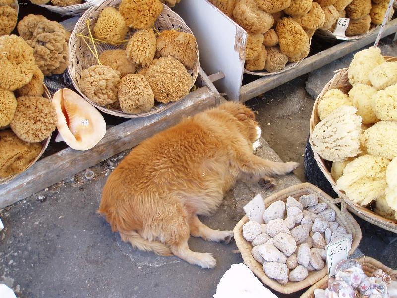 Foto: St�nek