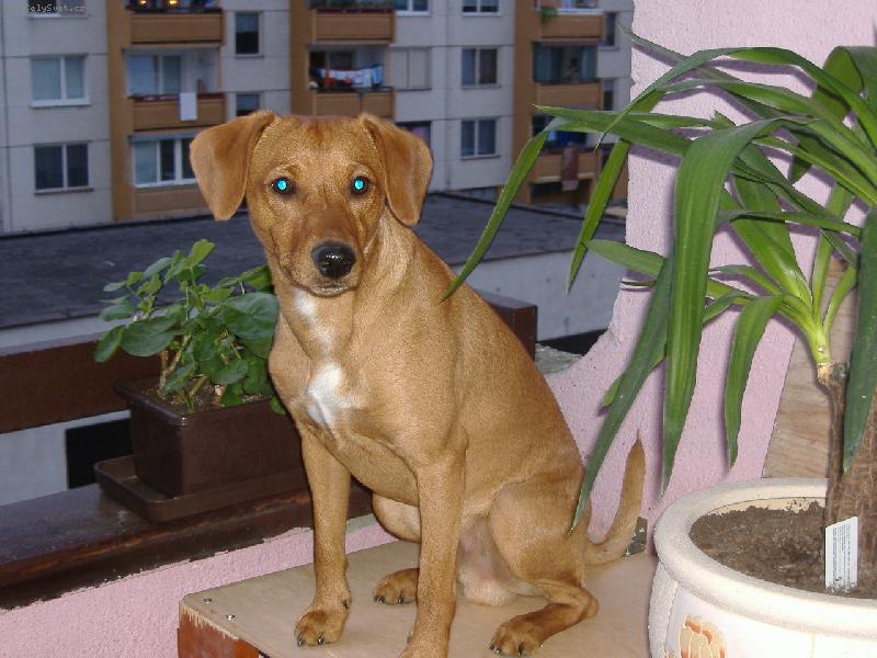 Foto: jack