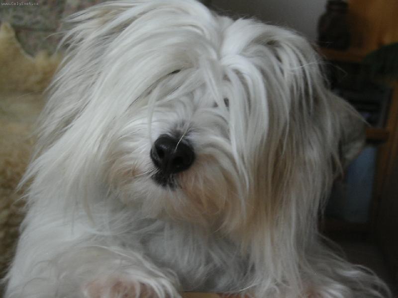 Foto: Nancy