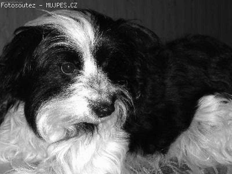 Foto: D�jina