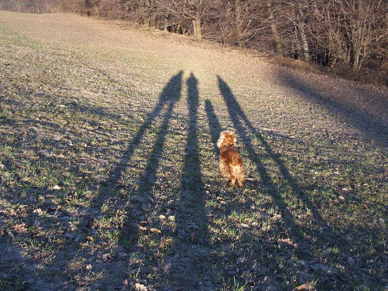 Foto: St�ny
